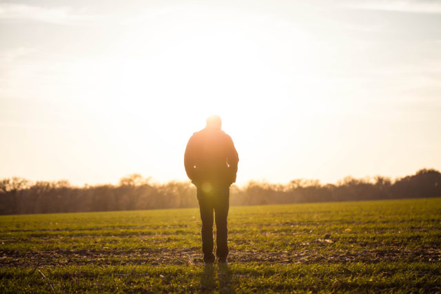 How do you know you’re a Christian? Man walking across a field into a sunrise, grove of trees at horizon, Gospel, Assurance, Perseverance, Suffering, Tribulation, Trouble, Romans 10, Romans 5, Fruit of the Spirit, Hope, Endurance