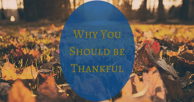 Why You Should be Thankful, Thanksgiving, fall leaves, yellow, orange, and brown on the ground at sunset, Robert B. Sloan, psalms