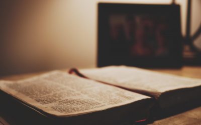 Why You Should Read the Psalms